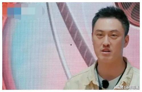 吃瓜最新娱乐圈,吃瓜群众揭秘最新热点事件