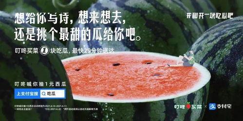 娱乐吃瓜文案去哪里找啊,热门平台攻略一览