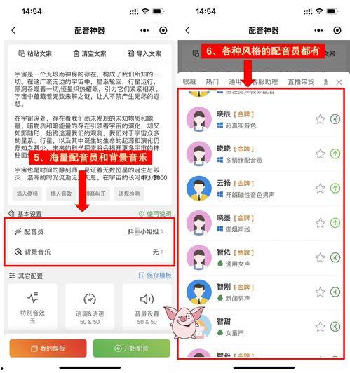 娱乐吃瓜视频的配音软件,揭秘热门娱乐吃瓜视频背后的配音神器